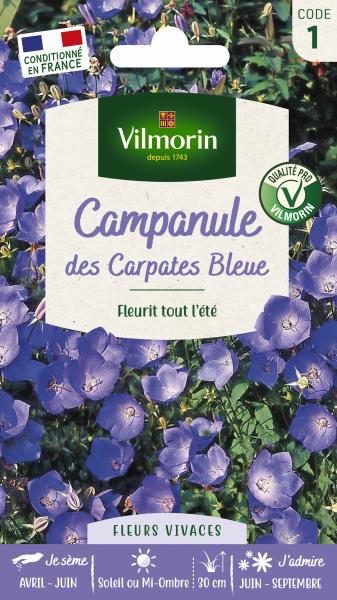 Fleurs - Campanule des Carpates Bleue - PACKAGING_RECTO